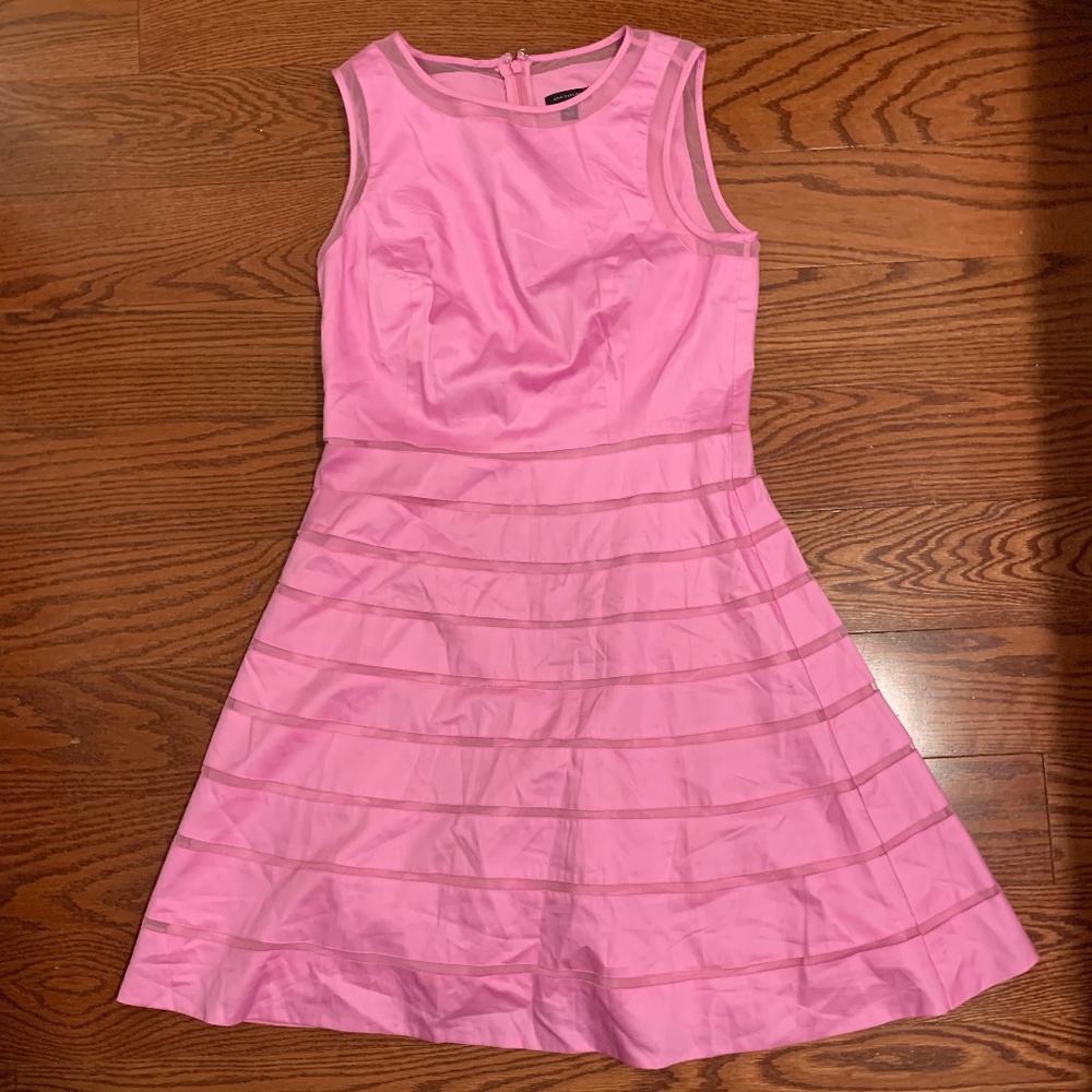 Ann Taylor Dress